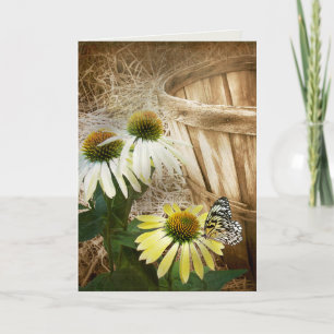 Butterfly On a Cone Flower Card