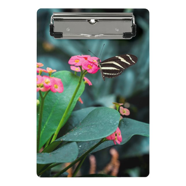 Butterfly on a flower mini clipboard (Front)