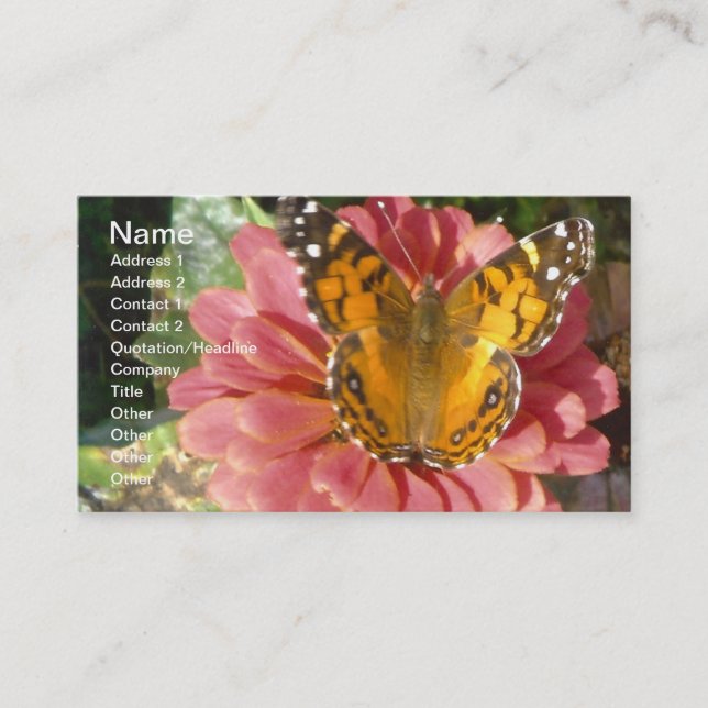 Butterfly on a Pink Zinnia Business Card (Front)