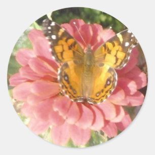 Butterfly on a Pink Zinnia Classic Round Sticker