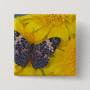 Butterfly on a Yellow Flower 15 Cm Square Badge