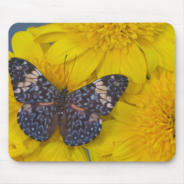 Butterfly on a Yellow Flower Mouse Pad (Front)