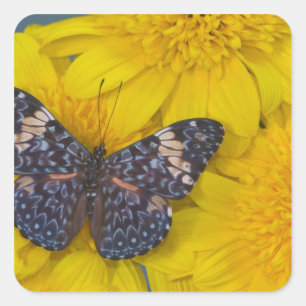 Butterfly on a Yellow Flower Square Sticker