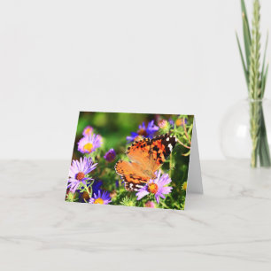 Butterfly on Aster flowers note card/greeting card