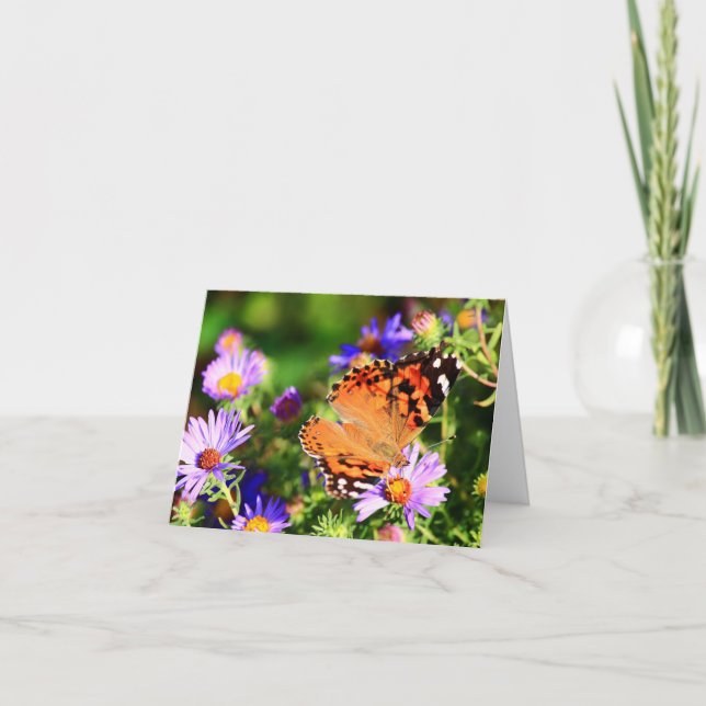 Butterfly on Aster flowers note card/greeting card (Front)