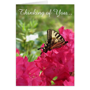 Butterfly on Azalea Thinking of You Card