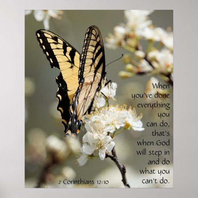 Butterfly on Blossoms, Scripture Verse Poster (Front)