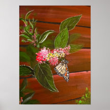 Butterfly on Bush Print