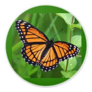 Butterfly on Ceramic Knobs and Pulls
