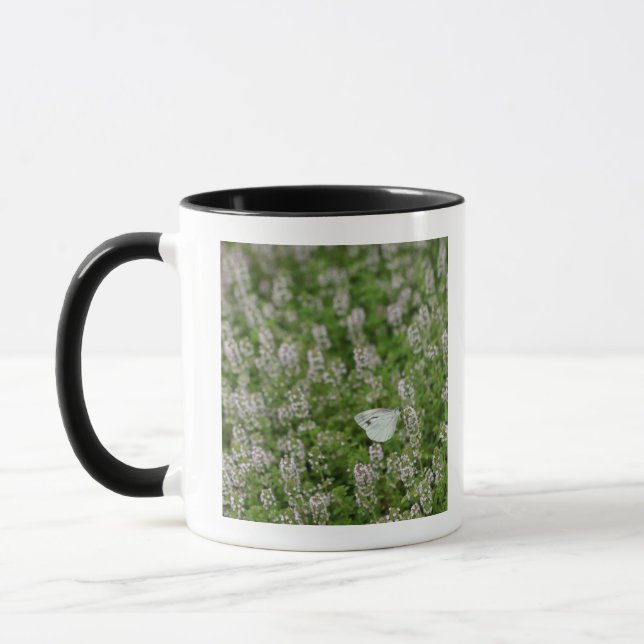 Butterfly on Creeping Thyme Mug (Left)