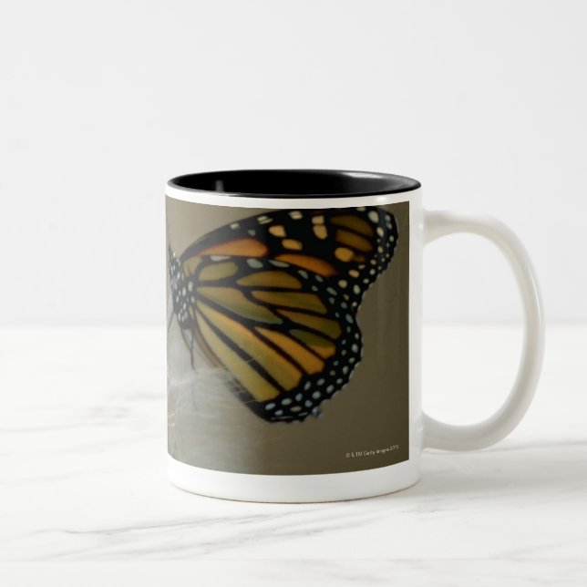 Butterfly on dandelion Two-Tone coffee mug (Right)
