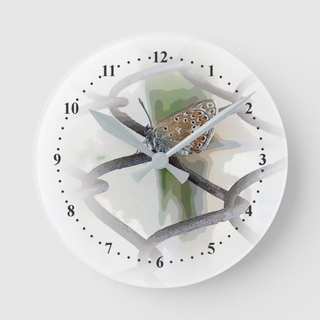 butterfly on fence round clock (Front)