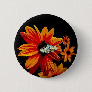 Butterfly on Fiery Orange Flower – Bold Nature Art 6 Cm Round Badge