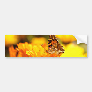 Butterfly on flower bumper sticker
