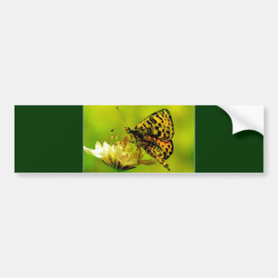 Butterfly on Flower Bumper Sticker