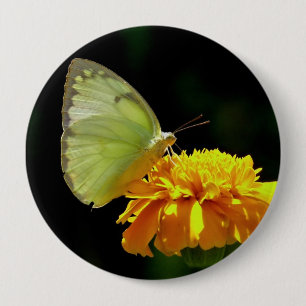 Butterfly On Flower Button Pin