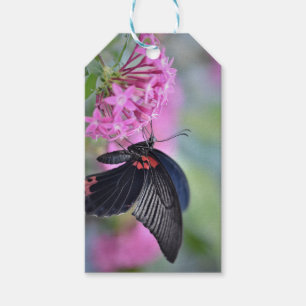 Butterfly on flower gift tags
