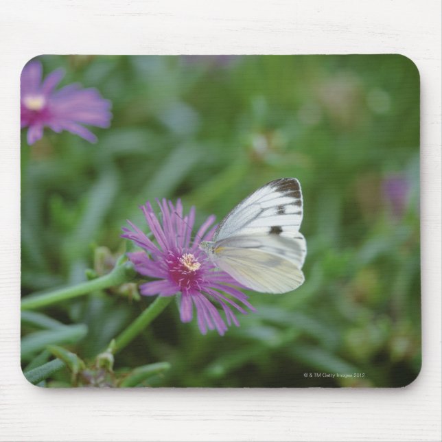Butterfly on flower mouse pad (Front)
