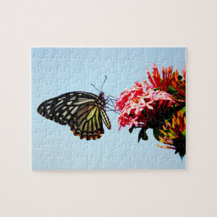 Butterfly on flower - Puzzles