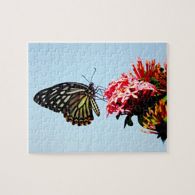 Butterfly on flower - Puzzles (Horizontal)