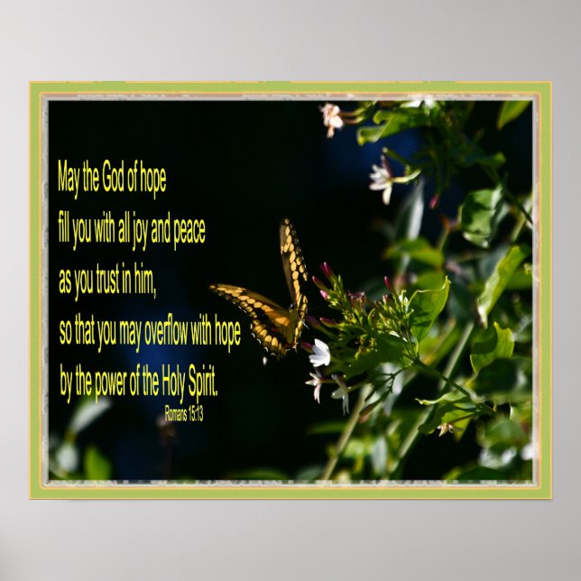 Butterfly on flower Romans 15:13 Poster (Front)