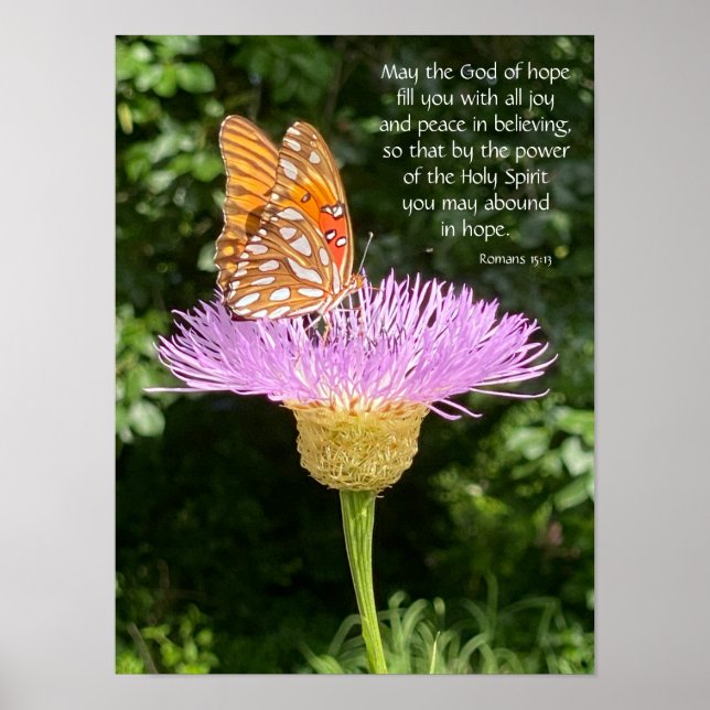 Butterfly on Flower w/ verse about hope and faith Poster (Front)