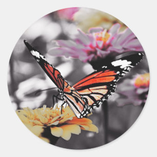 Butterfly on Flowers Classic Round Sticker
