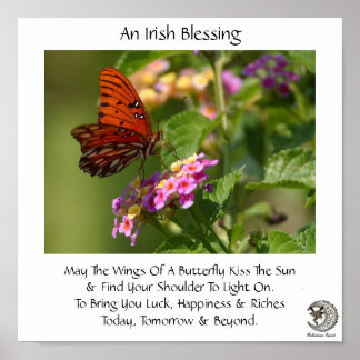 Butterfly On Flowers ~ Irish Blessing Poster