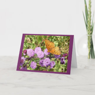 Butterfly on Gayfeater II Blank Notecard