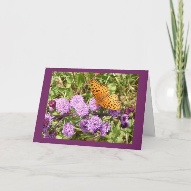 Butterfly on Gayfeather Blank Note Card (Front)