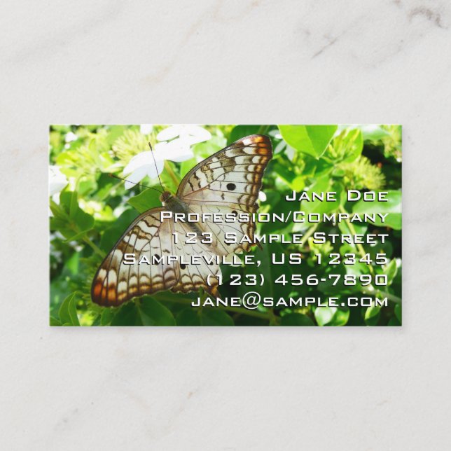 Butterfly on Jasmine Tropical Nature Photography Business Card (Front)