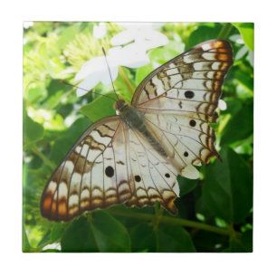Butterfly on Jasmine Tropical Nature Photography Ceramic Tile