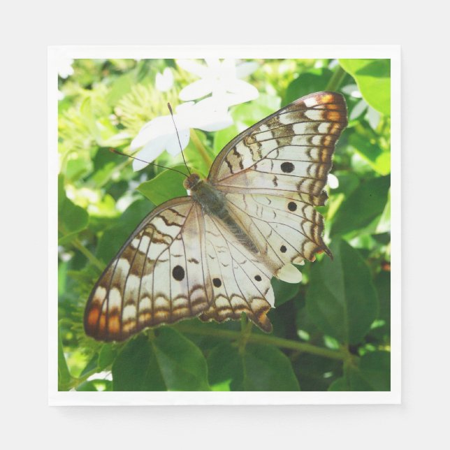 Butterfly on Jasmine Tropical Nature Photography Napkin (Front)