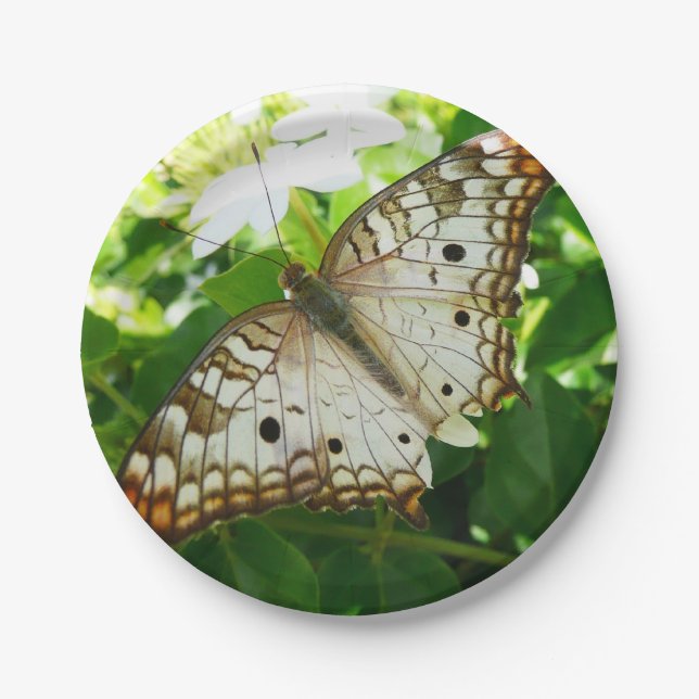 Butterfly on Jasmine Tropical Nature Photography Paper Plate (Front)