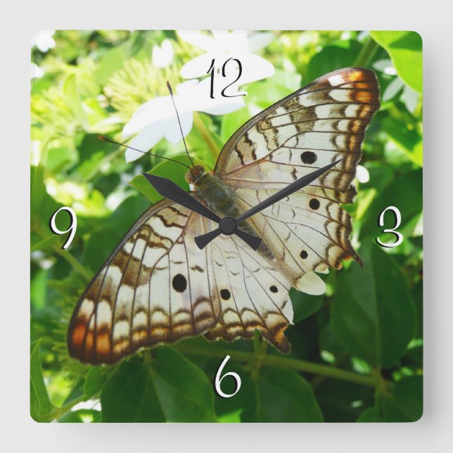 Butterfly on Jasmine Tropical Nature Photography Square Wall Clock (Front)