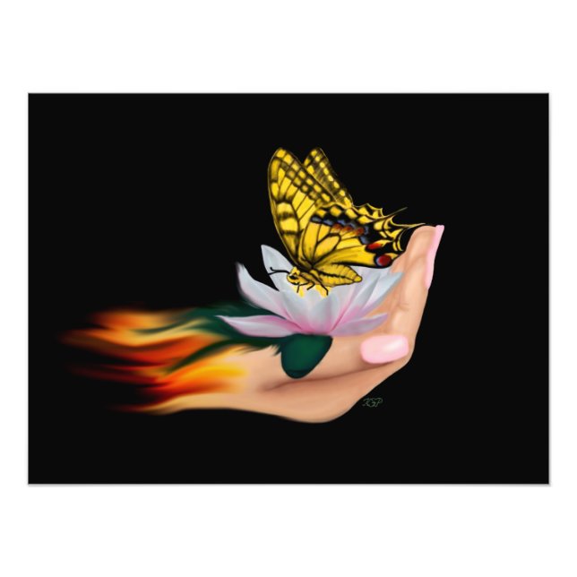 Butterfly on Lotus Bloom Photo Print (Front)