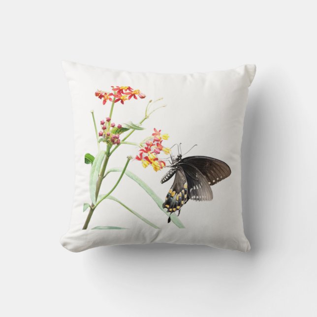 Butterfly on Milkweed Blooms, White Throw Pillow (Front)