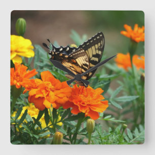 Butterfly on Orange and Yellow Flowers Wall Clock