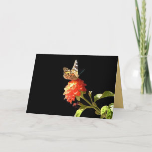 Butterfly on Orange Flower, Blank Inside Greeting Card