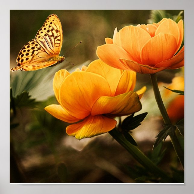 Butterfly on Orange Flowers Poster (Front)
