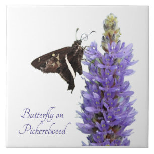 Butterfly on Pickerelweed, white Ceramic Tile