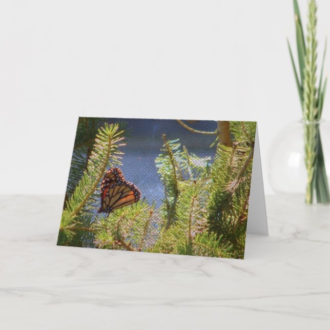 Butterfly on Pine Tree Canvas-Like Texture Card (Front)