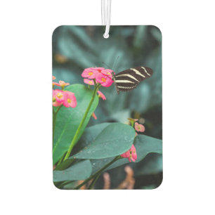 Butterfly on Pink Flower Photography Car Air Freshener