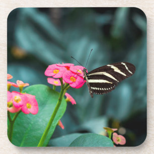 Butterfly on Pink Flower Photography Coaster