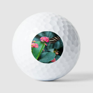 Butterfly on Pink Flower Photography Golf Balls