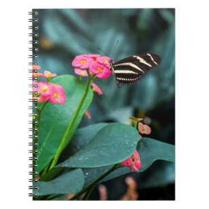 Butterfly on Pink Flower Photography Notebook