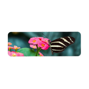 Butterfly on Pink Flower Photography Return Address Label