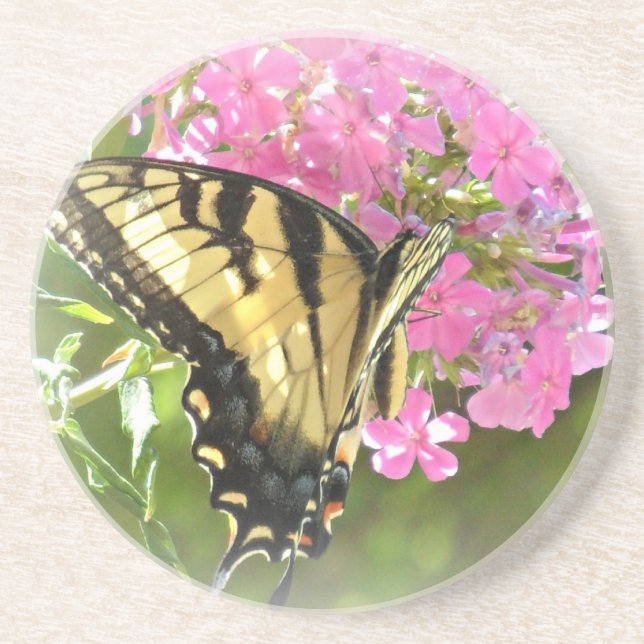 Butterfly on Pink Flowers Coaster (Front)