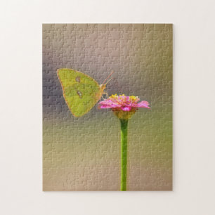 Butterfly on Pink Zinnia Flower Nature Puzzle