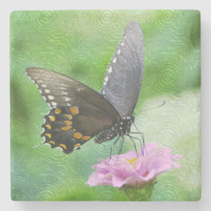 Butterfly On Pink Zinnia Stone Coaster
